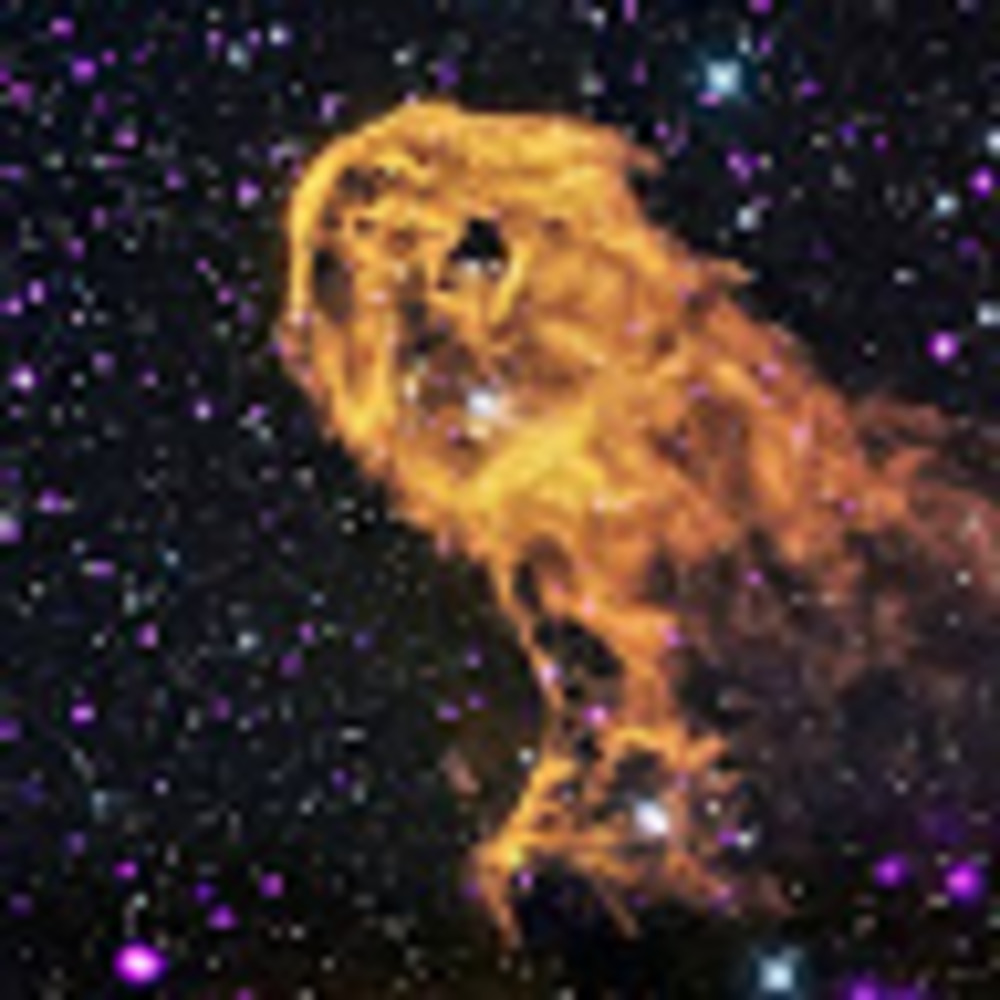 Meet your Posher, Dennis